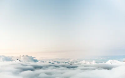 Clearing the Clouds Around Telecom Expense Management