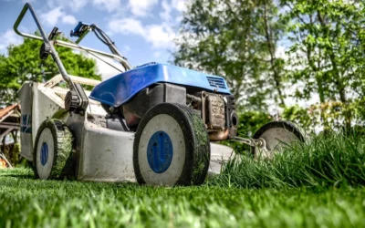Leave it to the Experts… like my lawn.