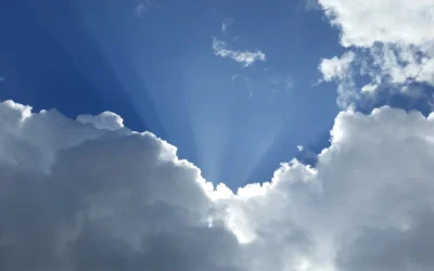 Cloud Now – Cloud Forever. SaaS telecom expense management software and the future