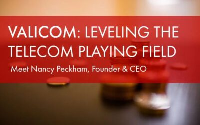 Leveling the Telecom Playing Field