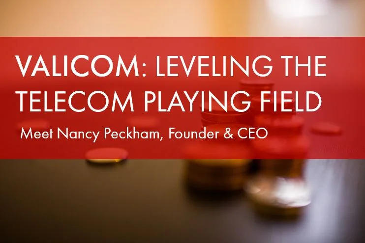 Leveling the Telecom Playing Field