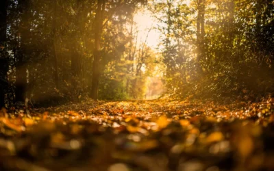 Top TEM Resources: Fall Edition