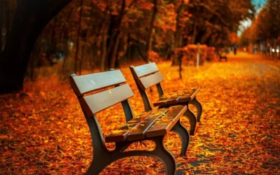 Thankful for Telecom and Technology Expense Management