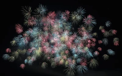 New Year, New Outlook for Telecom Expense Management (TEM)