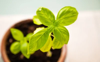 Here we grow again! Meet Darren