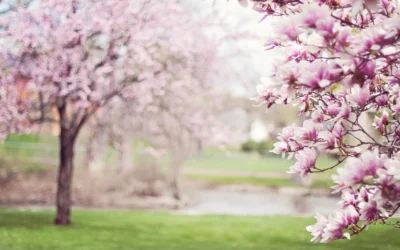 Spring has Sprung! Welcoming Our Newest Team Members