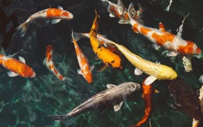 Why Your Organization’s Size Matters When Choosing a TEM Provider