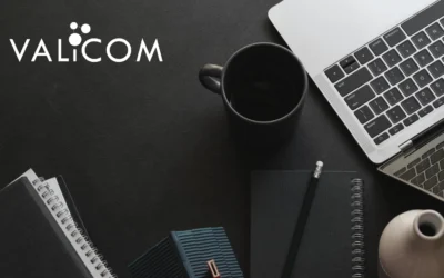 Business Optimization: Valicom’s Dedicated Team in 2024