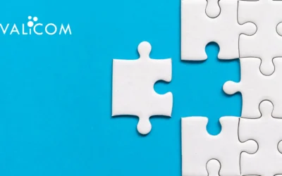 Elevate Your Business with Valicom’s Partner Program